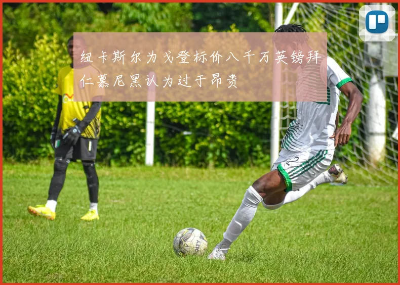 纽卡斯尔为戈登标价八千万英镑拜仁慕尼黑认为过于昂贵