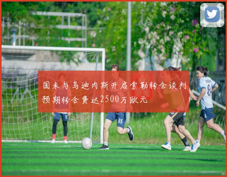 国米与乌迪内斯开启索勒转会谈判预期转会费达2500万欧元